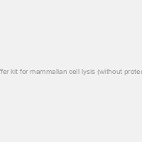 RIPA lysis buffer kit for mammalian cell lysis (without protease inhibitors)